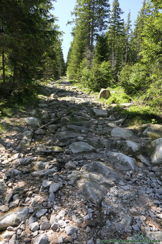 Szlak z Jagniątkowa do Schroniska pod Łabskim Szczytem