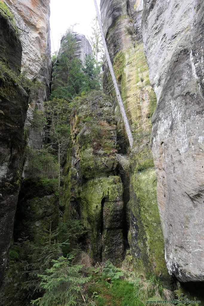 Skalne Miasto Adrspach - formacje skalne