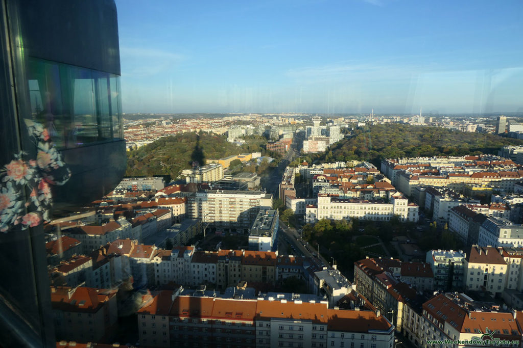 Panorama Pragi z Wieży Telewizyjnej