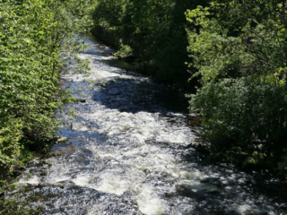 Piechowice - rzeka Kamienna