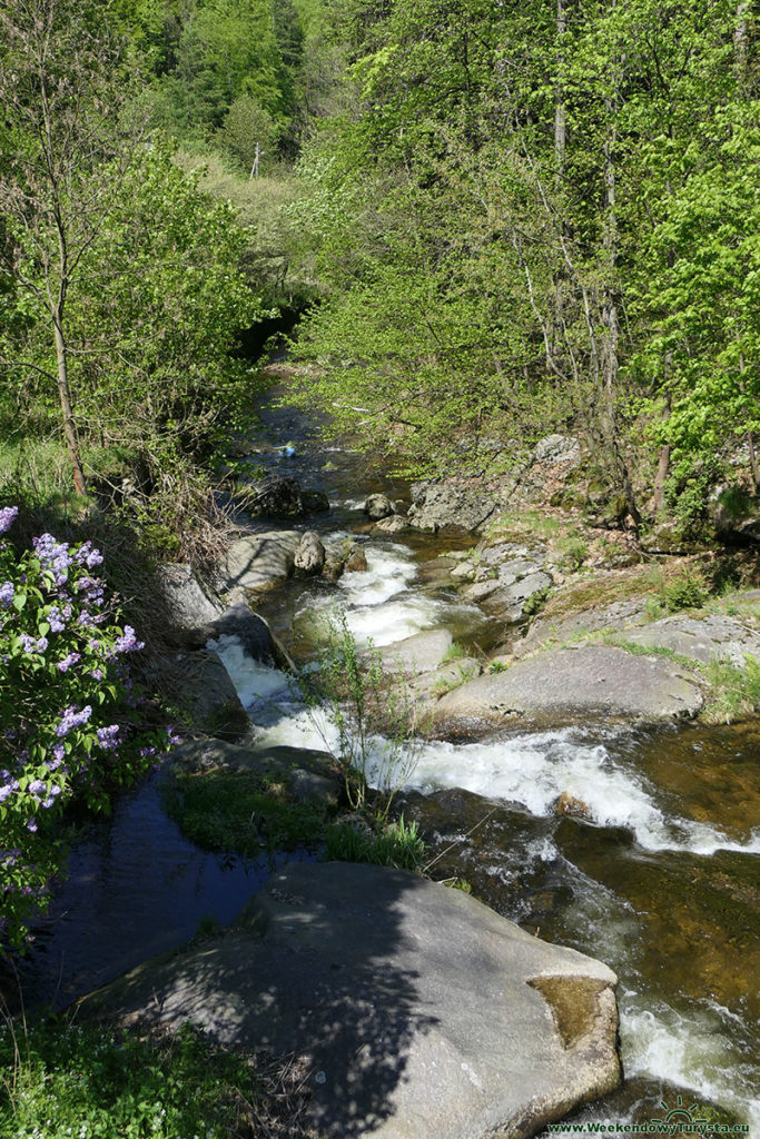 Jagniątków - rzeka Wrzosówka