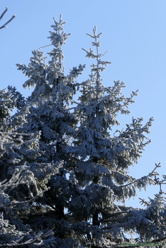 Niebieski Szlak na Czoło - zimowe klimaty