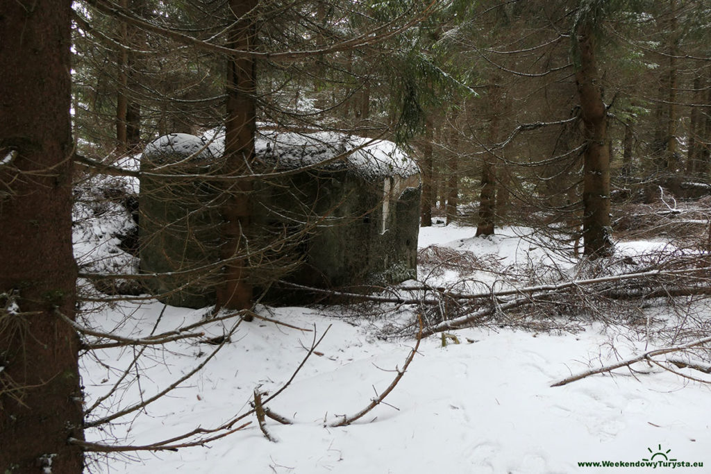 Bunkry Rzopik - bunkier ukryty w lesie