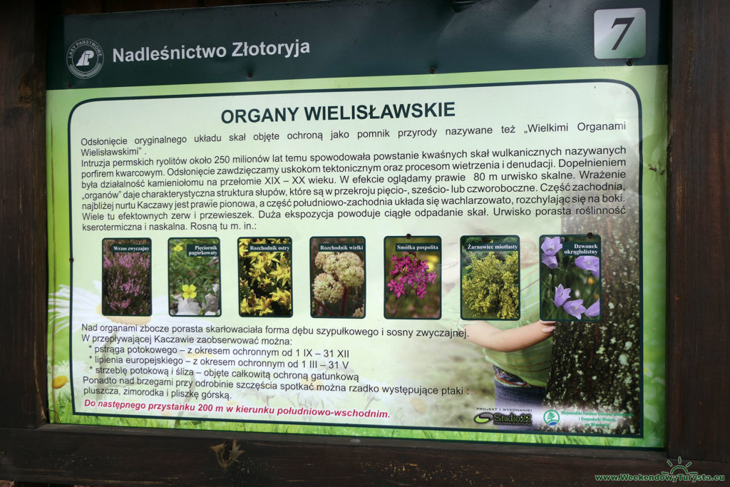 Organy Wielisławskie - tablica informacyjna