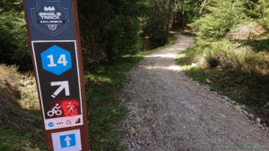 Single track Szklarska - wjazd na pierwszy odcinek