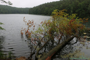 Łagów Lubuski