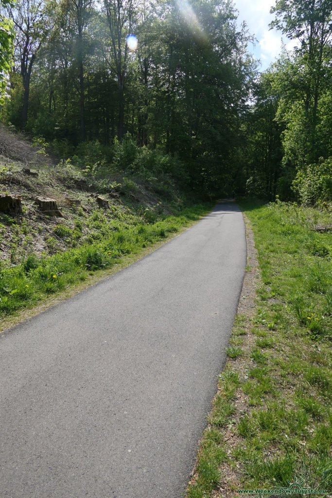 Jelenia Góra - zielony szlak - Ścieżka rowerowo piesza