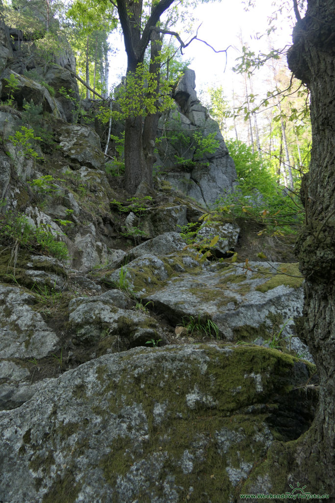 Park Krajobrazowy Doliny Bobru - skały