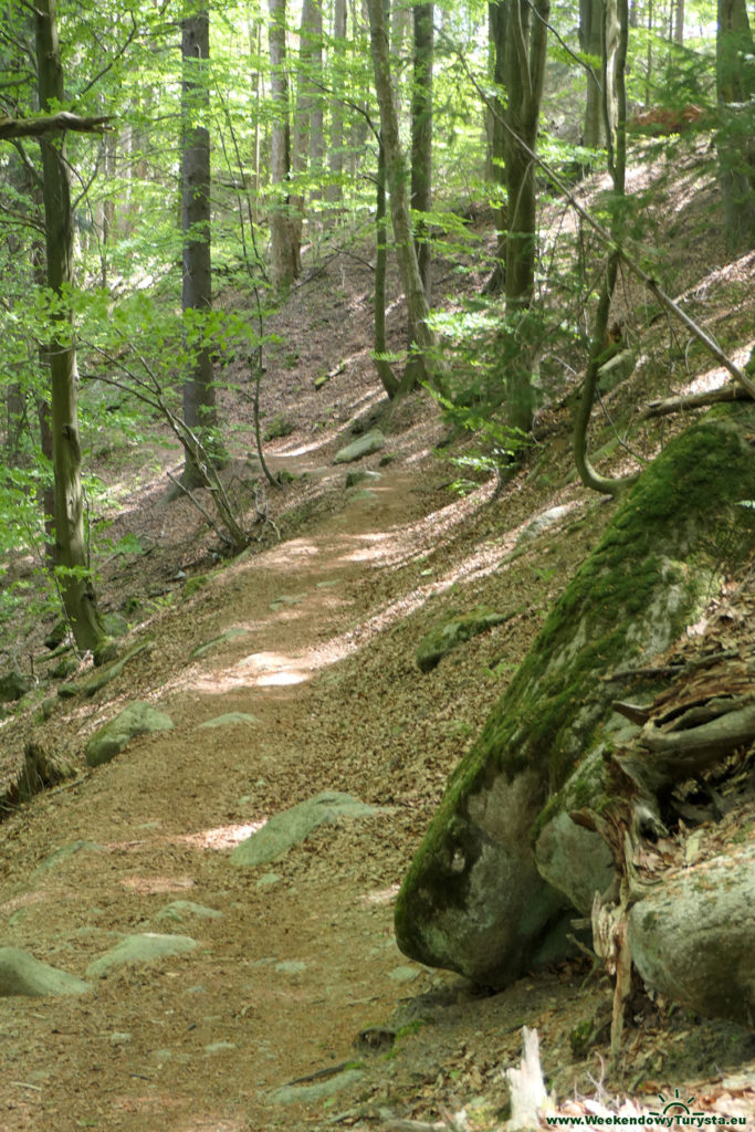 Szklarska Poręba - zielony szlak w kierunku Szklarki