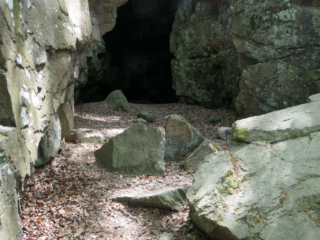 Szklarska Poręba - jaksinia obok Bazy pod Ponurą Małpą