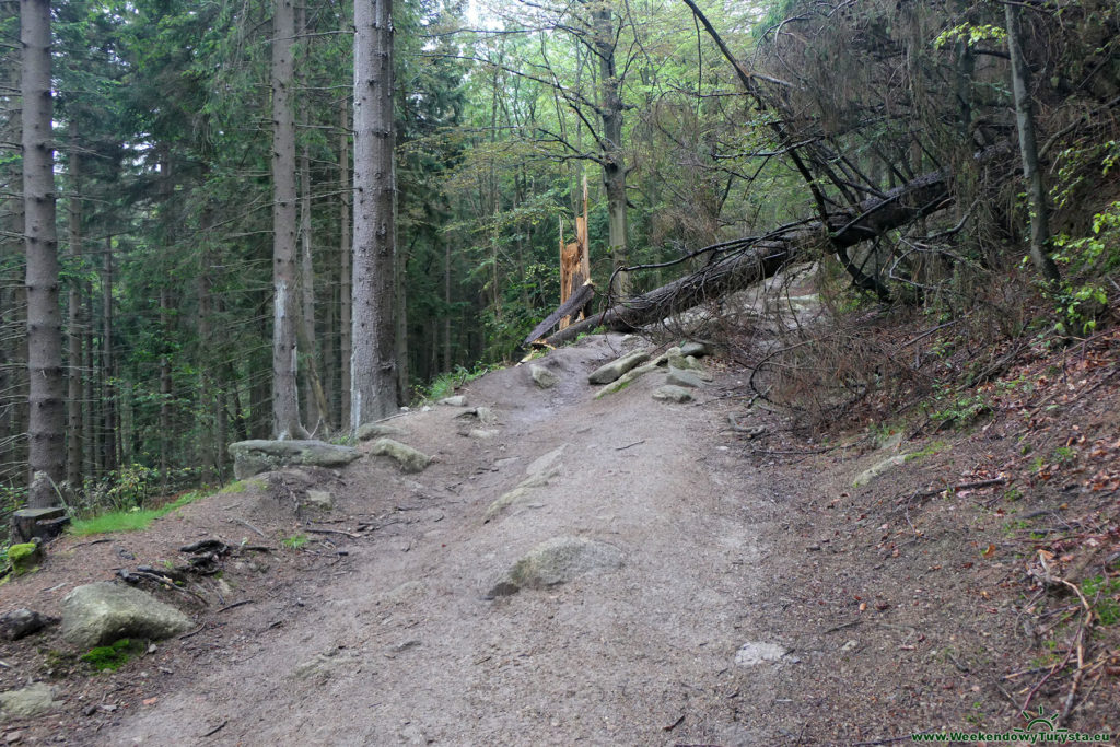 Żółty szlak do Schroniska pod Łabskim Szczytem