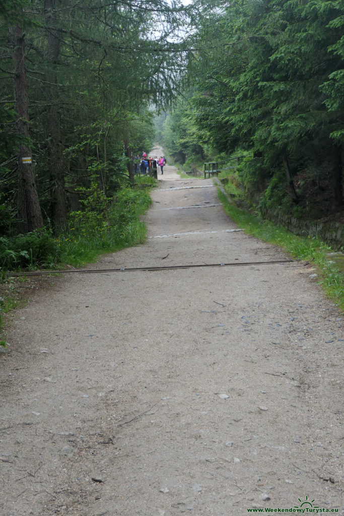Żółty szlak do Schroniska pod Łabskim Szczytem - Stara droga