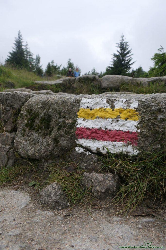 Widok spod Schroniska pod Łabskim Szczytem - Szlak żółty i czerwony