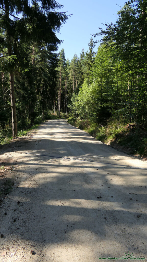 Leśna droga w kierunku rezerwatu Głazy Krasnoludków
