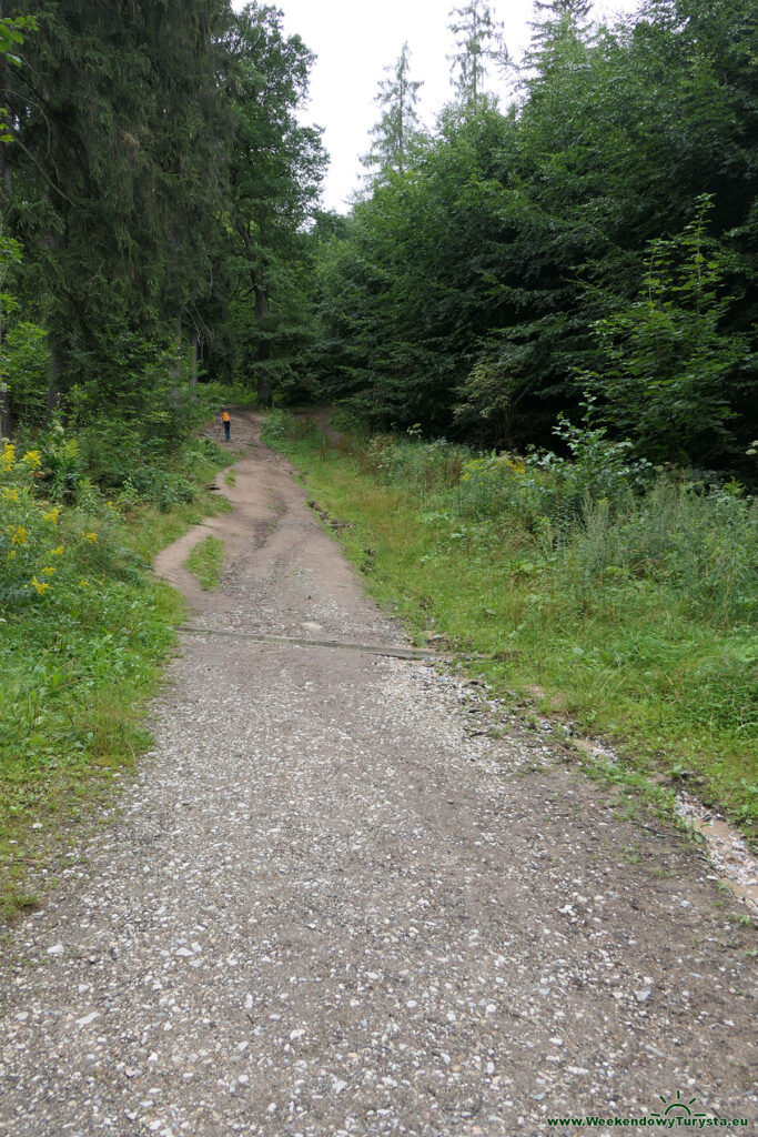 Zielony szlak do Schroniska Szwajcarka