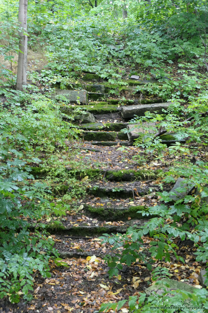 Wzgórze Kościuszki Park Miejski - schody