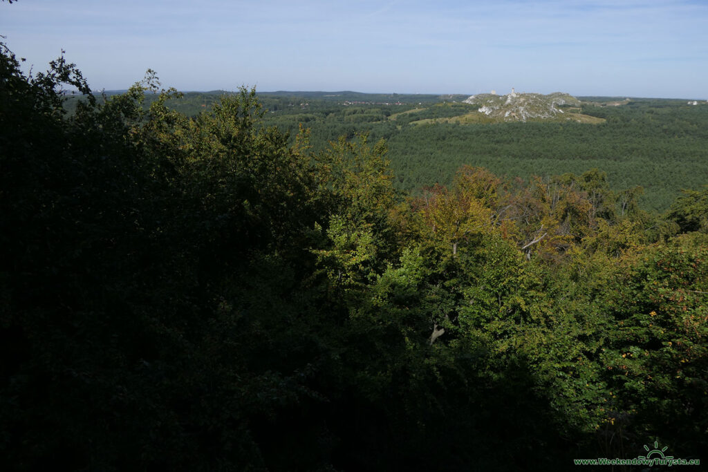 Góry Sokole - rezerwat - widok na Zamek Olsztyn