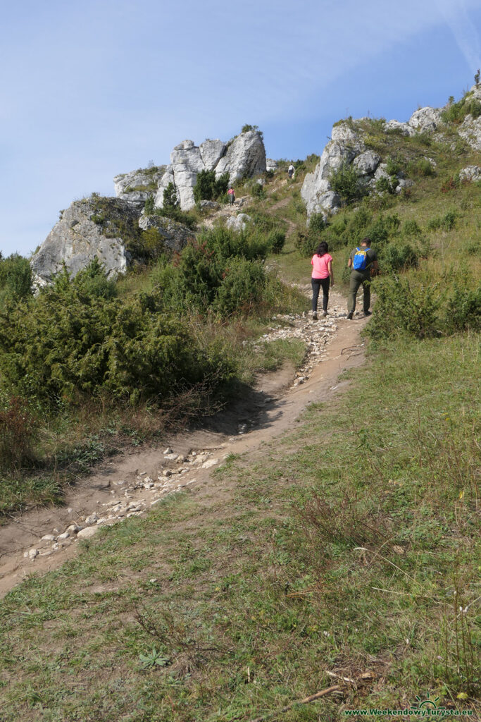 Szlak do Zamku Olsztyn - Góra Biakło