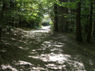 Ojcowski Park Narodowy - niebieski szlak