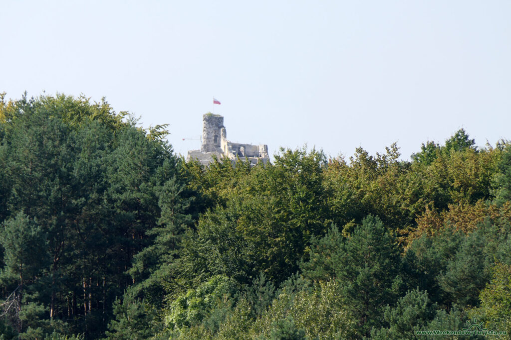 Zamek Mirów widziany z zamku Bobolice