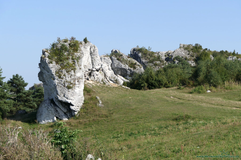 Zamek Mirów - skałki