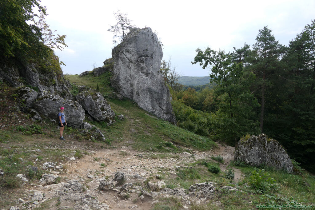 Góra Zborów - czerwony szlak do Zamku Bąkowiec