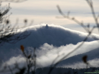 Góra Witosza - widok na Śnieżkę
