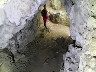 Jaskinia Dzika
