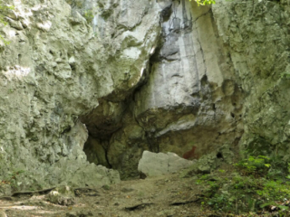 Jaskinia Dzika