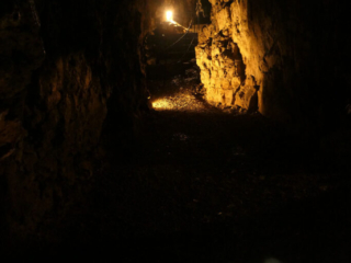 Jaskinia Wierzchowska Górna