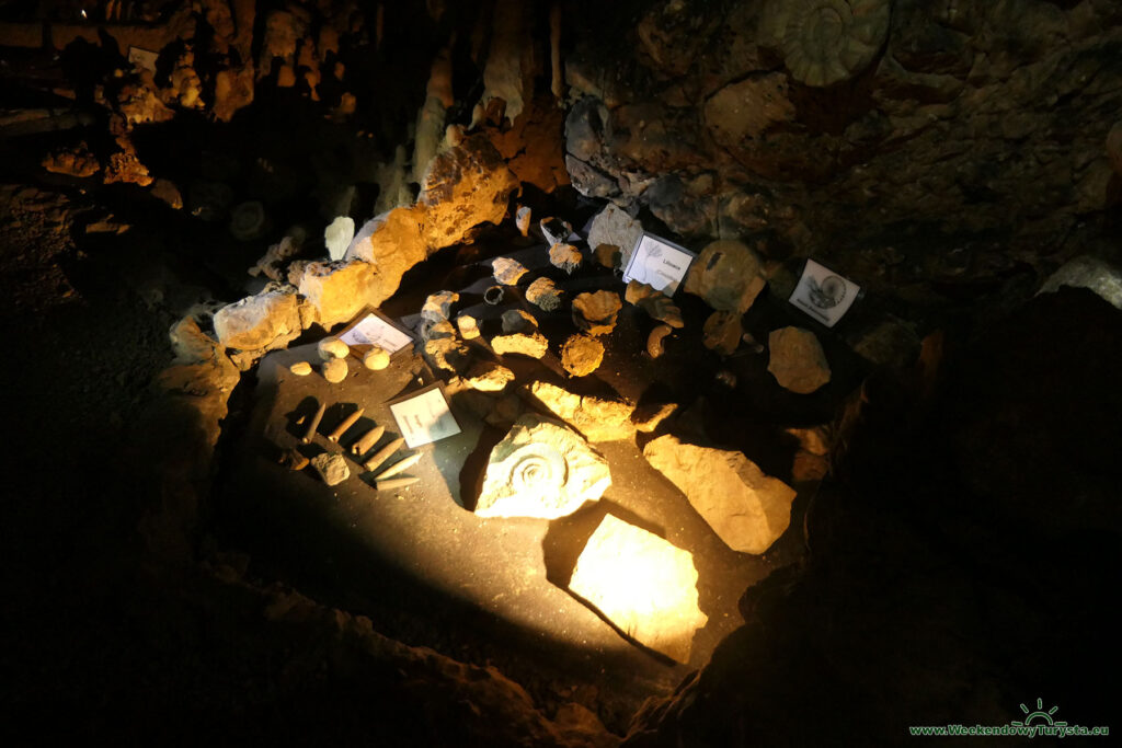 Jaskinia Wierzchowska Górna - ekspozycja