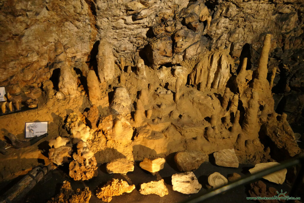Jaskinia Wierzchowska Górna - ekspozycja