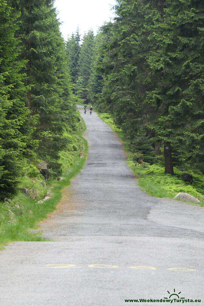 Niebieski szlak w kierunku Przełęczy Karkonoskiej
