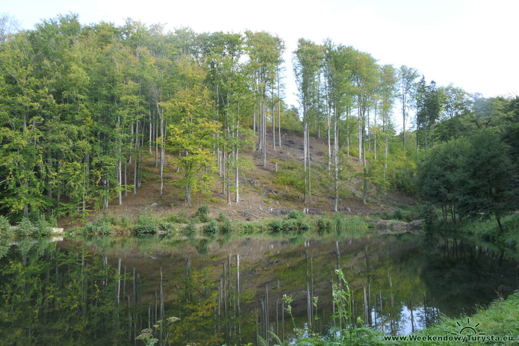 Szlakiem Riese - Gra terenowa - stawy w Głuszycy