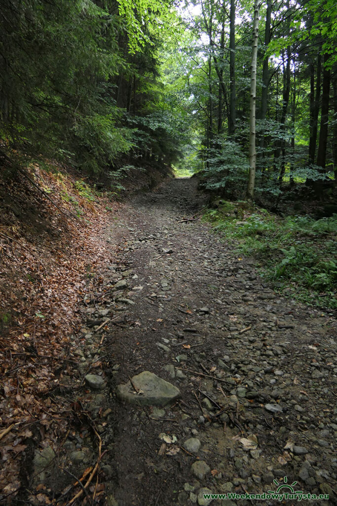 Szlakiem Riese - Gra terenowa - droga na Soboń