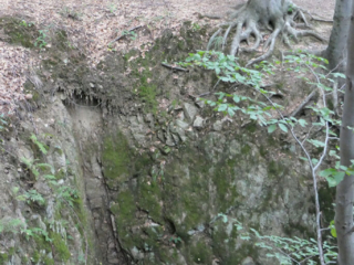 Szlakiem Riese w Kompleksie Osówka - szyb wentylacyjny