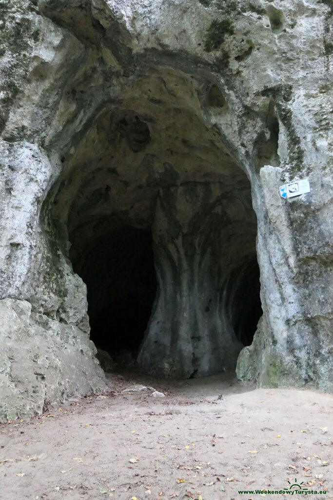 Jaskinia Ostrężnicka - wejście