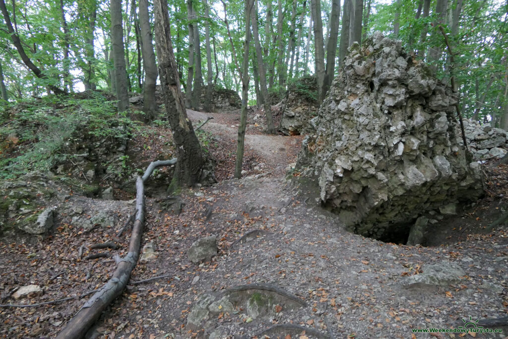 Zamek Ostrężnik - ruiny