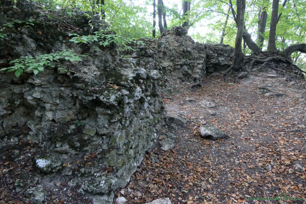 Ruiny Zamku Ostręznik