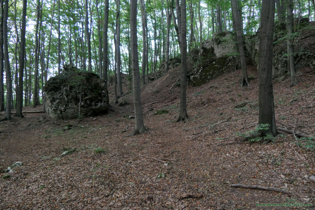 Ruiny Zamku Ostręznik