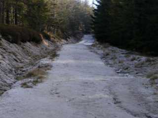 Zielony szlak z Polany Jakuszyckiej na Halę Szrenicką