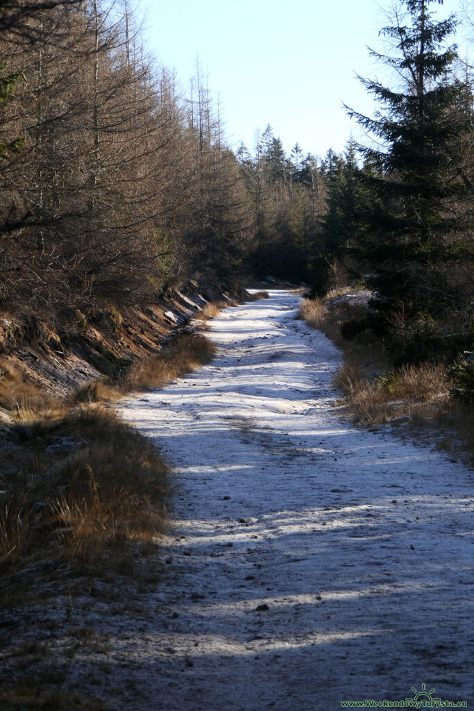 Zielony szlak z Polany Jakuszyckiej na Halę Szrenicką