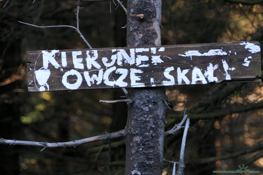 Zielony szlak z Polany Jakuszyckiej na Halę Szrenicką - podejście do Owczych Skał