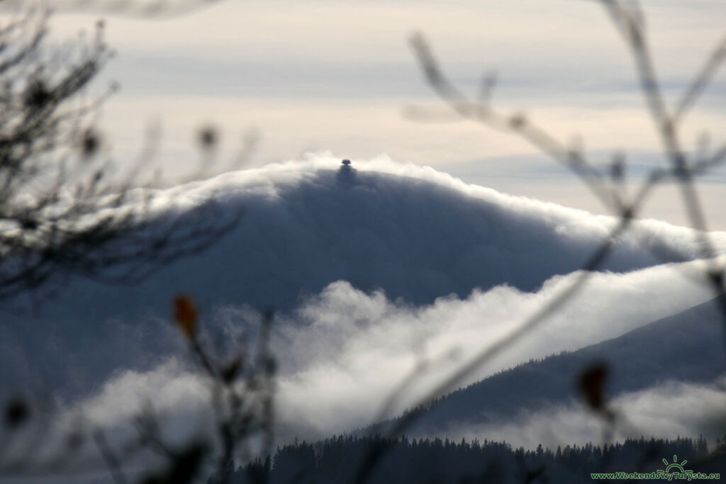 Punkty widokowe na Karkonosze - widok  na Śnieżkę z Góry Witosza