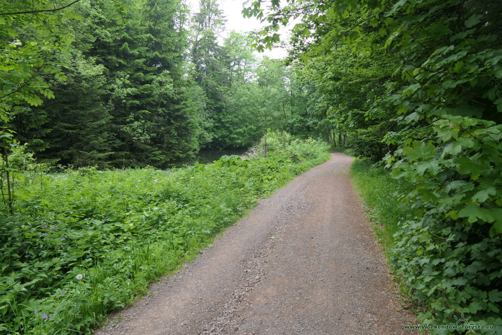 Zielony szlak w kierunku Chatki Marianka
