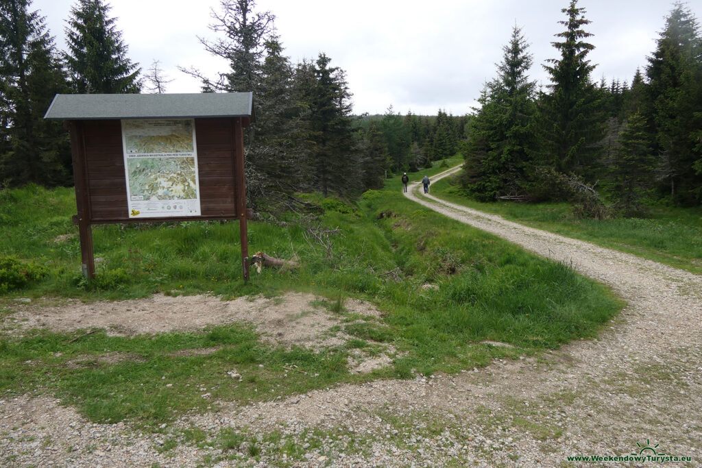 Zielony szlak na Palicznik - skrzyżowanie szlaków