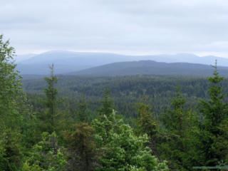 Niebieski szlak na Palicznik - panorama Gór Izerskich