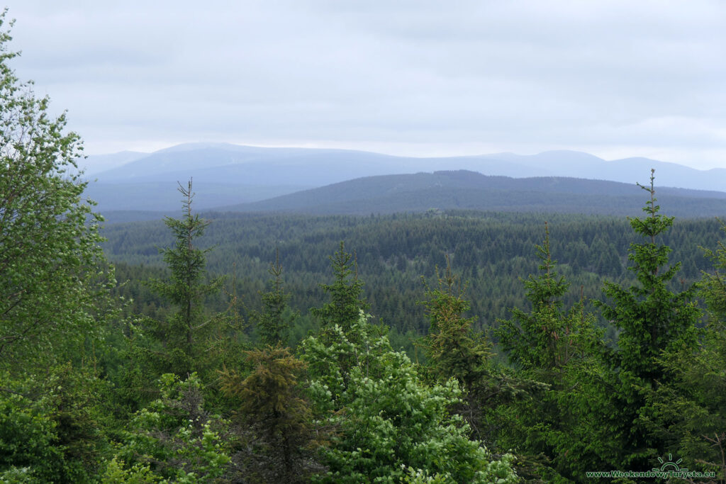 Niebieski szlak na Palicznik - panorama Gór Izerskich