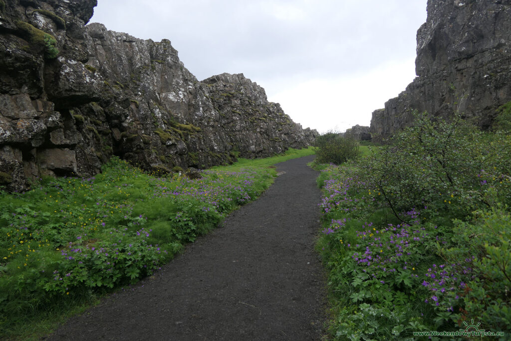 Thingvellir - park narodowy
