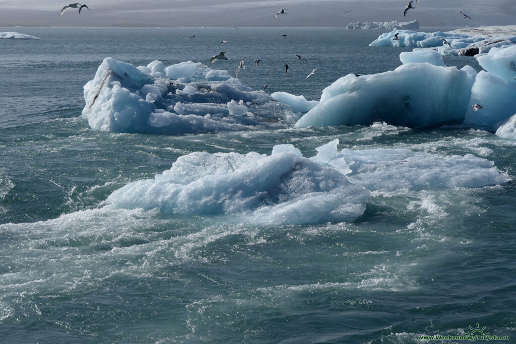 Lodowiec Vatnajökull - odpływ do oceanu